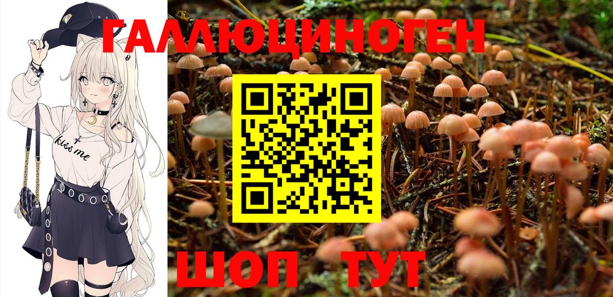Сызрань  Псилоцибиновые грибы мицелий  Вход с VPN 