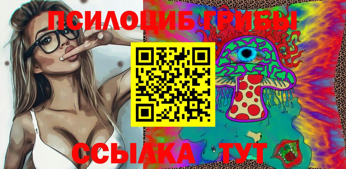 Псилоцибиновые грибы Psilocybe Сызрань