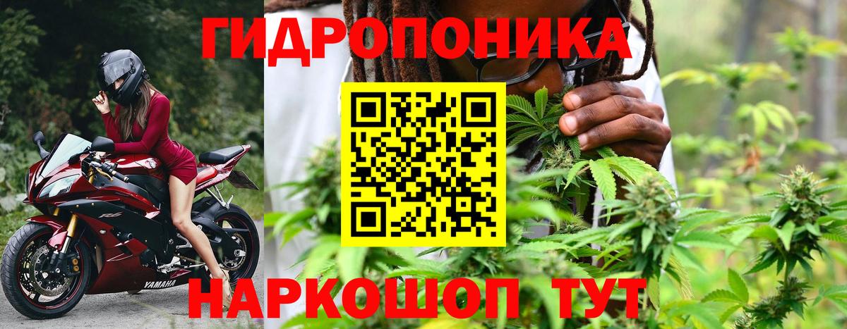 Псилоцибиновые грибы Сызрань